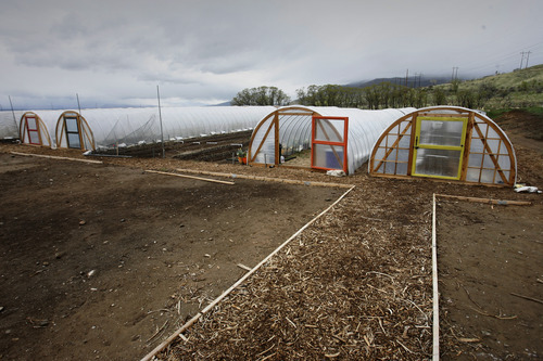 Rick Egan  | The Salt Lake Tribune 
Sign-ups are under way for about 40 CSA programs in Utah, including the new La Nay Ferme farm in Provo.