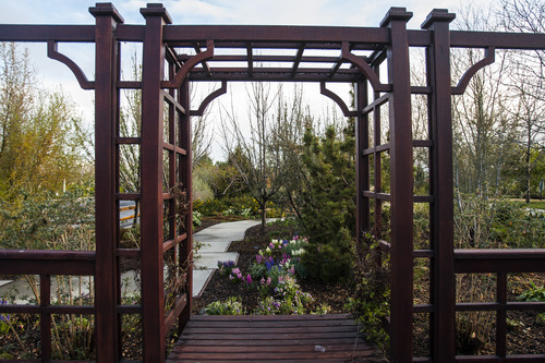 Chris Detrick  |  The Salt Lake Tribune
The Conservation Garden Park at the Jordan Valley Water Conservancy District Thursday April 12, 2012.