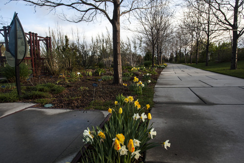 Chris Detrick  |  The Salt Lake Tribune
The Conservation Garden Park at the Jordan Valley Water Conservancy District Thursday April 12, 2012.