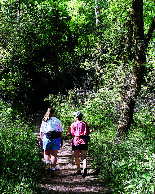 Tribune file photo
Two hikers take to the canopied Grandeur Peak trail in Millcreek Canyon.
