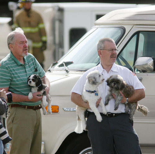Steve Griffin/The Salt Lake Tribune


Keith Hales and Kim Brown, right, hold three dogs that escaped a house fire in Murray, Utah Thursday May 3, 2012. The dogs belonged to Brown's son and daughter-in-law who are living in the home that caught fire Thursday morning.  Brown's son suffered burns to his face and was taken to a nearby hospital. The other three people, a women and two children, escaped unharmed. According to Murray City fire authorities the dog on the right hid in a crib inside the home and survived the blaze. The other two dogs escaped outside during the blaze.