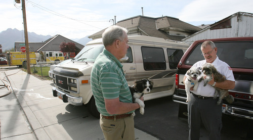 Steve Griffin/The Salt Lake Tribune


Keith Hales and Kim Brown, right, hold three dogs that escaped a house fire in Murray, Utah Thursday May 3, 2012. The dogs belonged to Brown's son and daughter-in-law who are living in the home that caught fire Thursday morning.  Brown's son suffered burns to his face and was taken to a nearby hospital. The other three people, a women and two children, escaped unharmed. According to Murray City fire authorities the dog on the right hid in a crib inside the home and survived the blaze. The other two dogs escaped outside during the blaze.