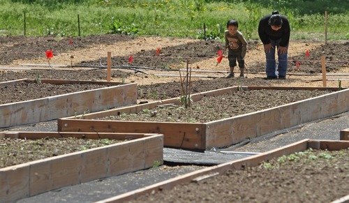 Rick Egan  | The Salt Lake Tribune 

Three Year-old Nei Sung, looks at their garden plot with his mother, Van Lal Ryuta Piang,  at the grand opening of the community garden in Holladay,  Friday, May 4, 2012. Friday, May 4, 2012.   The Mount Olympus Garden is a cooperative venture for Howard R. Driggs Elementary School, Olympus Junior High School, Salt Lake City, Holladay City, Salt Lake County, and New Roots of Utah in partnership with the International Rescue Committee.