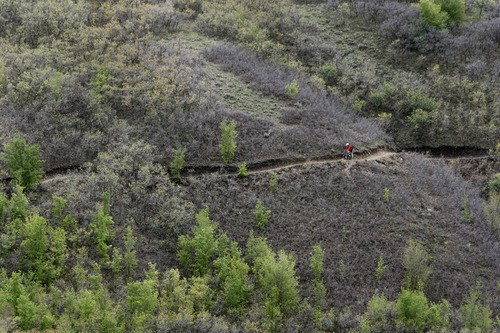 Francisco Kjolseth  |  The Salt Lake Tribune
A mountain biker makes his way down the trail in Little Valley as Salt Lake County and Draper City get ready to hold a ribbon-cutting ceremony to mark the opening of the new Little Valley Trail at Traverse Ridge on Monday, April 30, 2012. Little Valley and Corner Canyon are now connected through a tunnel under Traverse Ridge Road with 88 miles of trails accessible by bikers, hikers and runners with plans to expand the trail systems above Draper.