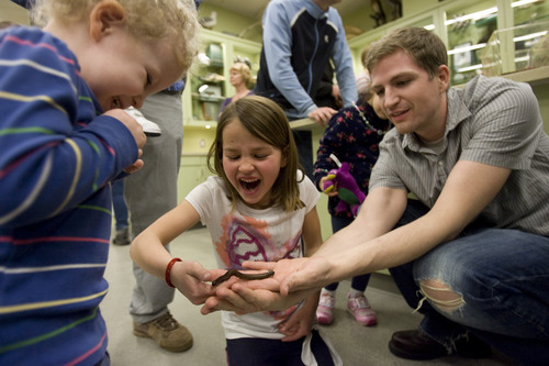 Kim Raff | The Salt Lake Tribune 
(left) Afton Hogan winces as her father (right) Brady Hogan and Emma Saddler handle a desert millipede during the Bug Brigade in the Natural History Museum in Salt Lake City on Saturday. Every second and fourth Saturday of the month, the museum lets visitors observe and handle some of its live bugs during the event.