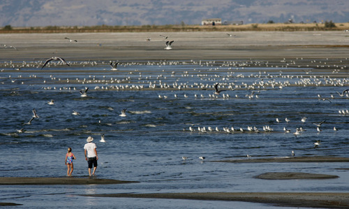 Leah Hogsten  |  Tribune file photo
Jason Henrie, of Murray, walks on Silver Sands Beach of the Great Salt Lake in 2010. New federal environmental rule should help reduce mercury in the lake and other water bodies, according to researcher David Krabbenhoft.