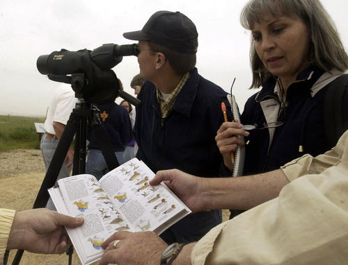 Tribune file photo

Beginning birders work with guides at Farmington Bay on the Great Salt Lake during a 2003 event.
