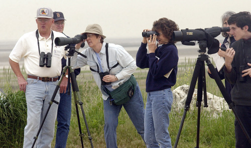 Tribune file photo

Beginning birders work with guides at Farmington Bay on the Great Salt Lake during a 2003 event.