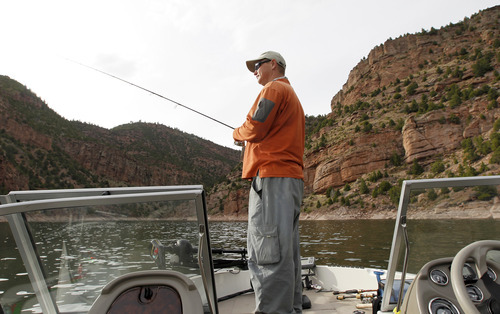 Al Hartmann  |  The Salt Lake Tribune

Ryan Kelly of Dutch John casts for trout while boating on Flaming Gorge Reservoir. Kelly landed 70 or so rainbow trout in three hours on this trip.