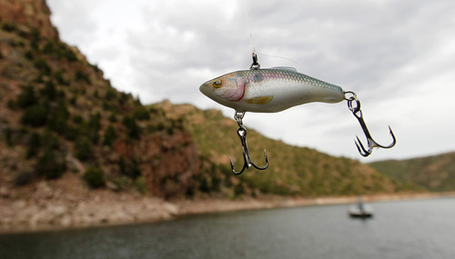 Al Hartmann  |  The Salt Lake Tribune

An effective lure for catching trout, and bass, at Flaming Gorge Reservoir.