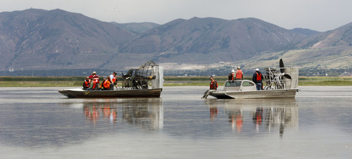 Trent Nelson  |  The Salt Lake Tribune
Utah's Water Quality Board took a tour of the Bear River Migratory Bird Refuge Wednesday -- part of a deep look at the impact of treated wastewater flowing into the bay.