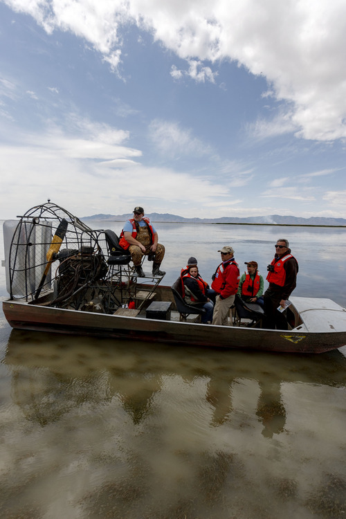 Trent Nelson  |  The Salt Lake Tribune
Utah's Water Quality Board took a tour of the Bear River Migratory Bird Refuge Wednesday as part of a pollution study that could have a big impact on the future of the lake.