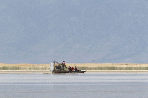 Trent Nelson  |  The Salt Lake Tribune
Utah's Water Quality Board took a tour of the Bear River Migratory Bird Refuge Wednesday as part of a $1.4 million study of the impact of pollution on the one-of-a-kind ecosystem.