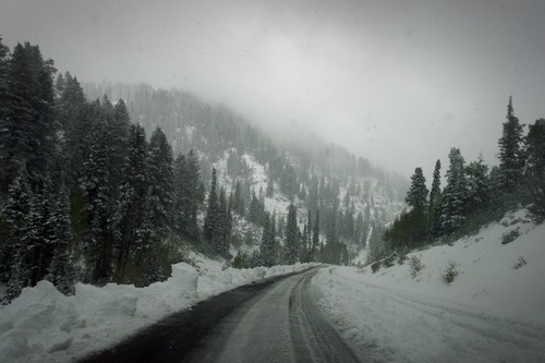 Rick Egan  | The Salt Lake Tribune 

SIx inches of snow on highway 162 near Power Mountain ski resort, just above Eden, Utah, Sunday, May 27, 2012.