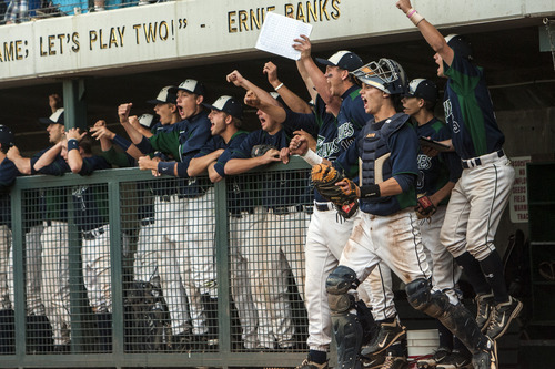 Chris Detrick  |  The Salt Lake Tribune
Members of the Timpanogos baseball team cheer after Timpanogos' Johnny Peterson (23) hit a three-run RBI during the 4A championship game at Kearns High School Friday May 25, 2012.