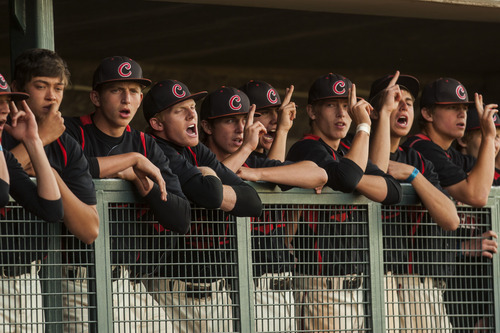 Chris Detrick  |  The Salt Lake Tribune
Members of the American Fork baseball team cheer before Riley Ottesen (2) hit the game winning RBI during the 5A championship game at Kearns High School Friday May 25, 2012.  American Fork won the game 5-4.