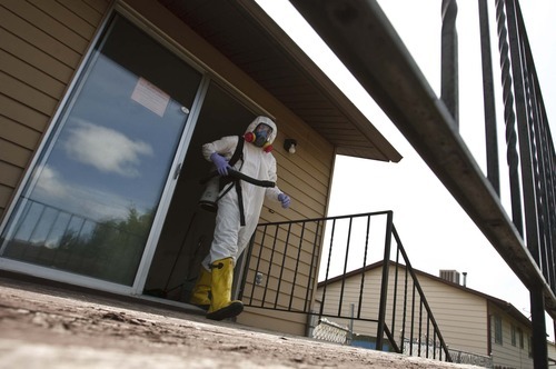 Leah Hogsten  |  The Salt Lake Tribune
The Salt Lake Valley Health Department has closed 100 properties in Salt Lake County so far this year because of methamphetamine contamination, putting it on track to exceed last year's tally. Meth Lab Cleanup Company cleans up homes all over state. Wednesday, May 23 2012 in .