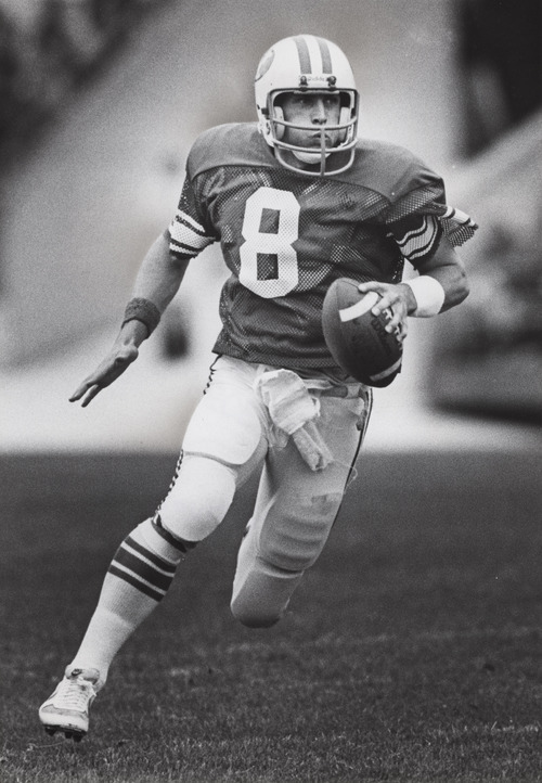 Tribune file photo
BYU quarterback Steve Young is pictured in this 1982 photo.