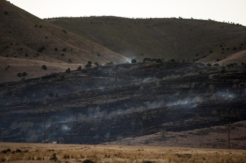 Chris Detrick  |  The Salt Lake Tribune
Fire burns west of Utah Lake and south of Saratoga Springs along State Road 68 on Thursday, May 31, 2012.