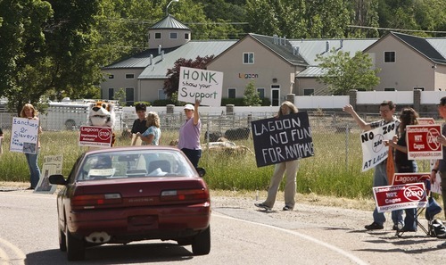 Leah Hogsten  |  The Salt Lake Tribune
 Protesters lined Lagoon Drive in Layton Saturday, June 2 2012 in Layton. to protest Lagoon's treatment of animals in the park as seen from the Wild Kingdom Train ride that circles a zoo where big cats, zebras, and other animals are confined to small enclosures.