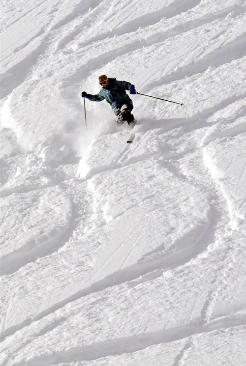 Tribune file photo
A skier makes a telemark turn in the powder at Alta. The Utah ski resort is ending its popular 