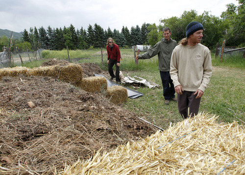 Al Hartmann  |  The Salt Lake Tribune 
Chase England, left,  Jacob Jordan and bother Kyle England work on their compost pit on a 15-acre farm in East Layton where they grow mushrooms, chickens, fruit and vegetables.  They  will be new vendors at this year's Downtown Farmer's Market at Pioneer Park, which starts June 9.