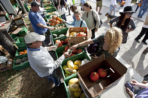 Lennie Mahler | Tribune file photo
Vendors sell squash, pumpkins, gourds and other vegetables at the 2011 Downtown Farmers Market. This year's market kicks off Saturday at Pioneer Park.