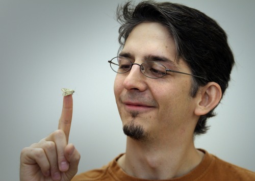 Rick Egan  | The Salt Lake Tribune 

Research by University of Utah biology doctoral candidate Jose Crespo, pictured here with a moth species known as corn ear worm, shows how odors affect pre-flight behavior of moths. Friday, June 1, 2012.