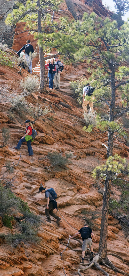 Al Hartmann  |  Tribune file photo
Hikers carefully make their way up a section of the Angels Landing Trail in Zion National Park. As part of this Saturday's National Get Outdoors Day, admission to all national parks is free.
