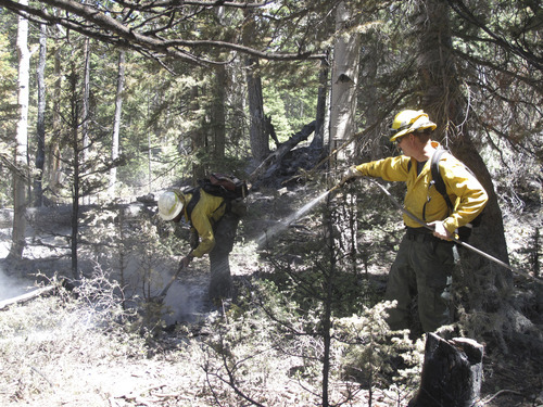 Nate Carlisle | The Salt Lake Tribune
David Thrasher, of Vernon, Ariz., sprays water on June 9, 2012, on logs still smoldering from the Box Creek Fire.