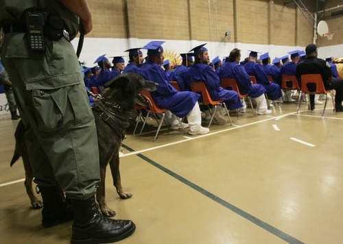 Kim Raff | The Salt Lake Tribune
A prison guard dog, Storm, watches over inmates at the Utah State Prison in the Timpanogos Gym in Draper, Utah on June 12, 2012 during a commencement exercise for prisoners who received their high school diplomas. The Utah State Prison and Canyons School District presented diplomas to about 340 men and women who have graduated from the prison's high school program.