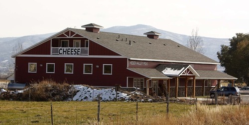 Trent Nelson  |  The Salt Lake Tribune
Heber Valley Artisan Cheese, in Midway, gives tours of its farm and cheesemaking process.