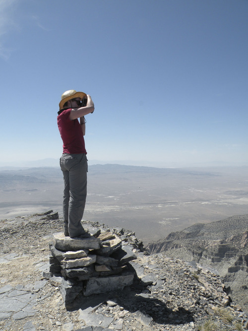 Erin Alberty  |  The Salt Lake Tribune
A hiker takes in the panorama from the top of Notch Peak.
