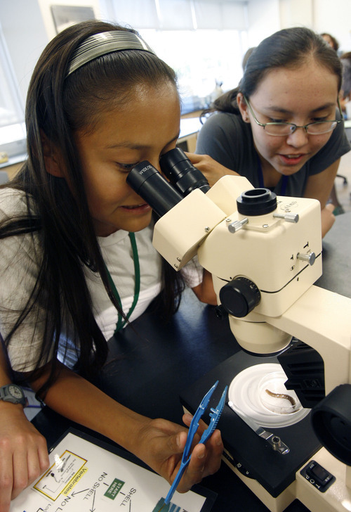 Francisco Kjolseth  |  The Salt Lake Tribune
Erika Yellowhair, left, and Nikki Holiday, both from the Navajo Nation in Shipwreck N.M., have a closer look at some of the bugs the pulled out of Emigration Creek as Westminster college hosts a fun and educational summer camp this week for girls entering the 8th grade. The AWE+SUM camp is designed specifically to get girls interested in math and science, with a three day run from Monday to Wednesday of this week.