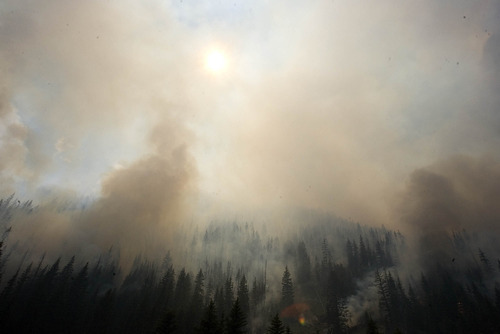 Paul Fraughton  |  The Salt Lake Tribune
Fire rages Wednesday, June 27, 2012, in Huntington Canyon near Stuart Guard Station.