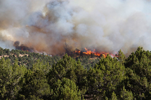 Kyle Kester  |  Special to The Salt Lake Tribune

A wild fire burns near New Harmony, Utah, Wednesday, June 27, 2012.