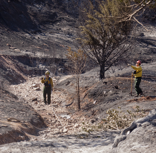 Kyle Kester  |  Special to The Salt Lake Tribune

Firefighters survey the damage near following a wildfire near New Harmony, Utah, Thursday, June 28, 2012.