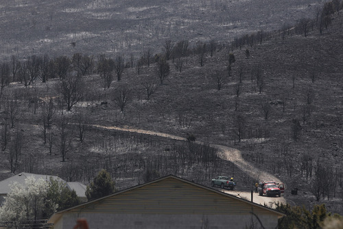 Scott Sommerdorf  |  The Salt Lake Tribune             
Torched hillsides just off Rosecrest Drive in Herriman, Sunday, July 1, 2012.