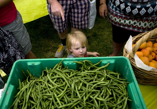 Kim Raff | The Salt Lake Tribune
Olive Stieber looks at string beans for sale at The People's Market, which began its seventh season July 8 with local produce, crafts and entertainment at the International Peace Gardens in Salt Lake City. The market will be open every Saturday from 10 a.m.-3 p.m.