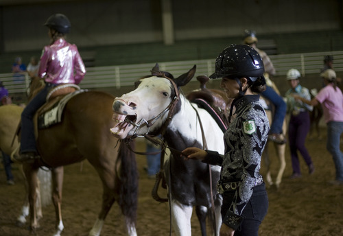 Kim Raff | The Salt Lake Tribune
Kiersten Zaelit waits with Zia after competing in the western horsemanship training during the 4-H Horse Show at the South Jordan Equestrian Park in South Jordan, Utah on July 6, 2012.  This year marks the 100th anniversary of 4-H in Utah.