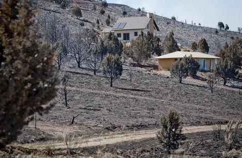 Michael Mangum  |  Special to the Tribune

A home remarkably stands unscathed amidst charred vegetation in Indianola, Sanpete county on Wednesday, June 27, 2012 after the Wood Hollow wildfire had ripped through the area earlier in the week.