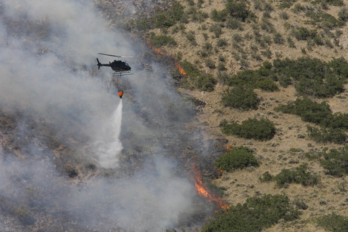 Paul Fraughton  |  The Salt Lake Tribune
Helicopter drops water on hot spot above Alpine July 3. Farmers and ranchers in 1,016 counties -- about a third of those in the entire country on land covering half the nation -- are  now eligible for low-interest loans to help them weather the drought, wildfires and other disasters.