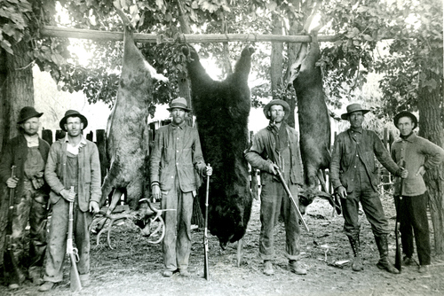 A group of hunters with 2 deer and a bear in American Fork Canyon. Undated.