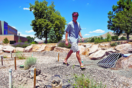 Chris Detrick  |  The Salt Lake Tribune
Dasch Houdeshel shows off bioretention gardens at the University of Utah Tuesday July 17, 2012. Dasch is a graduate student in civil and environmental engineering, leading research projects into bio-retention design.