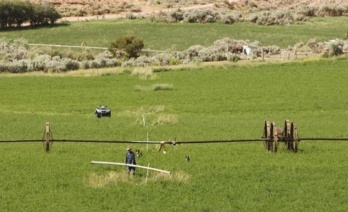 Leah Hogsten  |  The Salt Lake Tribune
Alalfa farmer Kay Hickman moves his irrigation lines Thursday July 19, 2012 on his 100 acre farm outside of Torrey in Wayne County. 