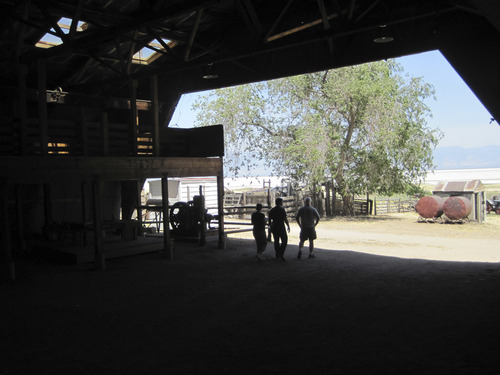 Tom Wharton | The Salt Lake Tribune
The Sheep Sheering Barn at Garr Ranch.