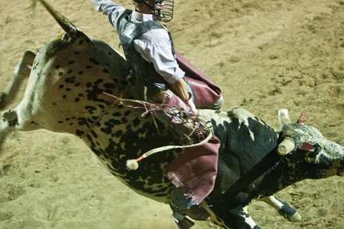 Chris Detrick  |  The Salt Lake Tribune
Tag Elliott, of Thatcher, rides 30S Monty the Bull during the Dinosaur Roundup Rodeo Friday July 13, 2012. Tag Elliott was ranked 24th in the world when he was injured while attempting to ride a bull named Werewolf at the 2007 Days of '47 rodeo.