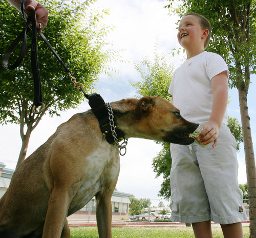 Steve Griffin | The Salt Lake Tribune


 Jack Stevenson, 7, shares a snow cone with, Delta, a member of the Clinton City K-9 Unit, in front of his home in Sunset, Utah Thursday July 19, 2012.  He is raising money for the K-9 unit by selling snow cones.