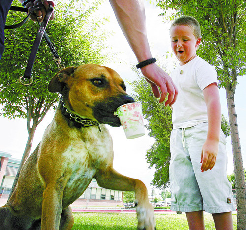 Steve Griffin | The Salt Lake Tribune


Jack Stevenson, 7, shares a snow cone with, Delta, a member of the Clinton City k-9 Unit, in front of his home in Sunset, Utah Thursday July 19, 2012.  He is raising money for the Clinton City K-9 Unit by selling snow cones.