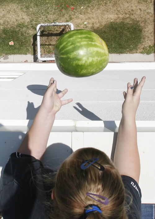 Rick Egan  | The Salt Lake Tribune 

Shaylyn Knappenberger drops a watermelon from the roof of Copper Hills High on Friday, July 6, 2012. Students built devices in an attempt to catch watermelons dropped from the roof of their school as part of a science and physics grant.